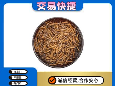 盐城盐都区回收散虫草
